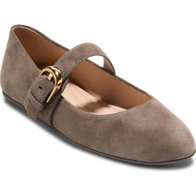 Cole Haan Grand Ambition Alissa Mary Jane Leather Flat In Gray