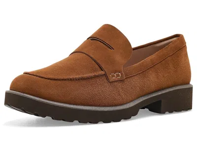 Cole Haan Gwendolyn Penny Loafers Women's Shoes Tobacco Suede: 6 B - Medium, Leather In Multi