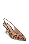 Cole Haan Hansell Slingback Pointed Toe Pump In Animal Print