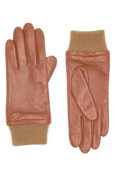 Cole Haan Leather Knit Cuff Gloves In British Tan