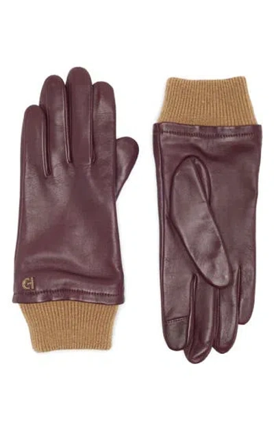 Cole Haan Leather Knit Cuff Gloves In Pinot