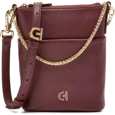 Cole Haan Mini Mainline North/south Leather Bucket Bag In Bloodstone