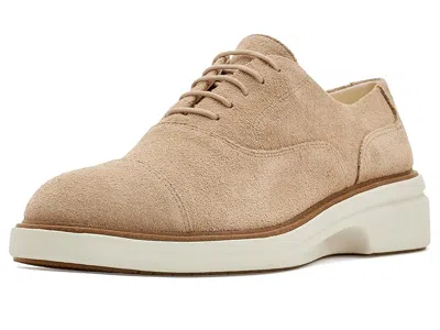 Cole Haan Originalgrand Cityspectre Oxford Women's Shoes Tuscan Sand Suede: 7 B - Medium In Brown