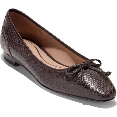 Cole Haan Paget Leather Ballet Flat In Brown