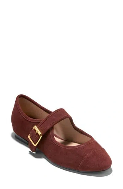 Cole Haan Raquelle Mary Jane Ballet Flat In Burgundy