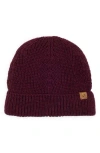 Cole Haan Ribbed Cuffed Beanie In Burgundy