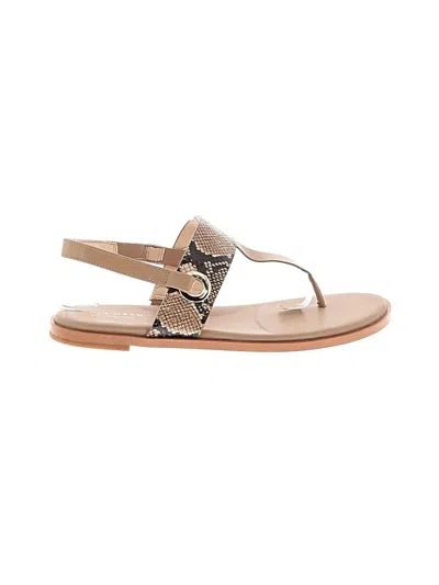Pre-owned Cole Haan Sandals In Brown