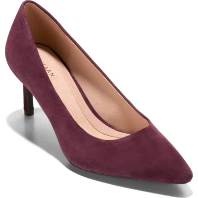 Cole Haan The Go-to Janey Pointed Toe Pump