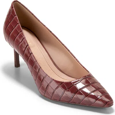 Cole Haan The Go-to Janey Pointed Toe Pump In Brown