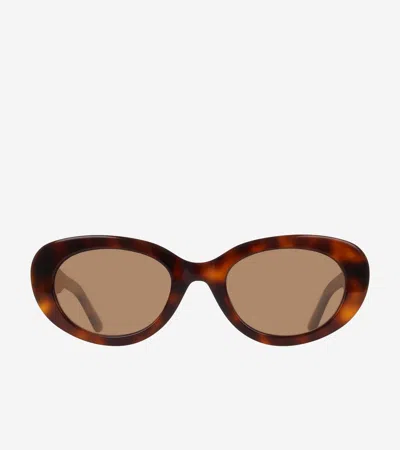 Cole Haan Women's Women's Bold Oval Sunglasses - Brown In Green