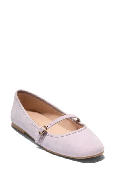 Cole Haan Yelena Mary Jane Ballet Flat In Thistle Suede