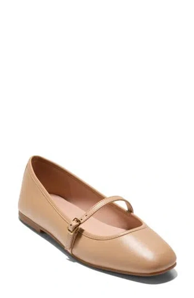 Cole Haan Yelena Leather Mary Jane Flat In Brown