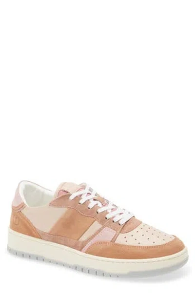 Collegium Alpha Sneaker In Brown