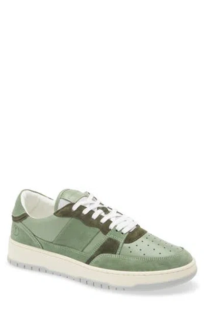 Collegium Alpha Sneaker In Multi