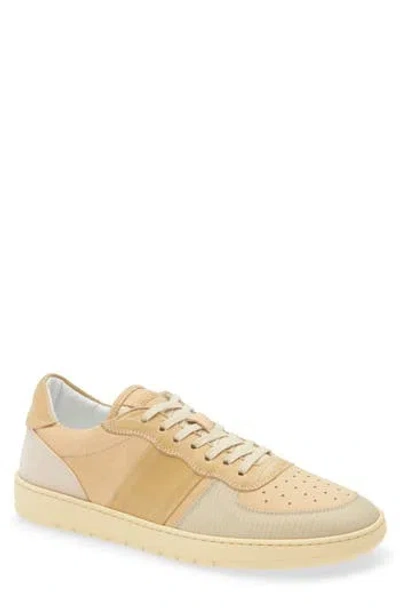Collegium Pillar Destroyer Low Top Sneaker In Brown