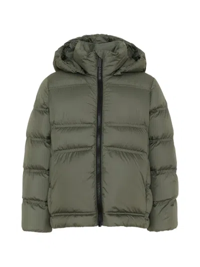 Colmar Kids' Hooded Padded Jacket In Green