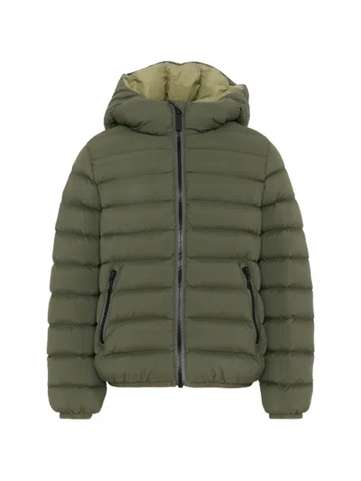 Colmar Kids' Hooded Padded Jacket In Green