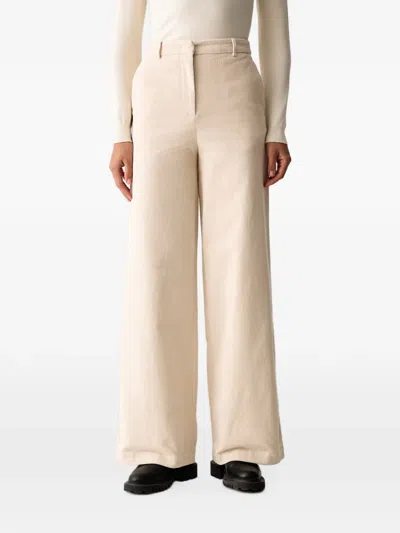 Colmar Velvet Palazzo Pants In Neutrals