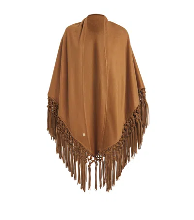 Colombo Cashmere Fringe-detail Shawl In Brown