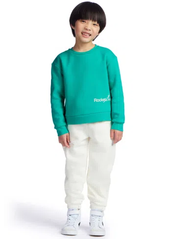 Color Lab Kids' Boys 2t-7 Pull-on Long Sleeve Sweatshirt In Green