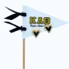 Color Shout Kappa Alpha Theta Heart Stud Enamel Earrings On Sorority Pennant Flag In Brown