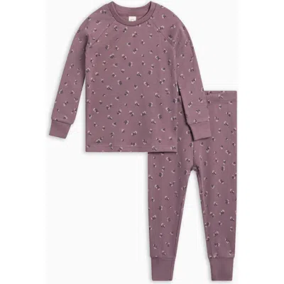 Colored Organics Kids'  Organic Cotton 2 Piece Long Sleeve Jammie Set In Purple
