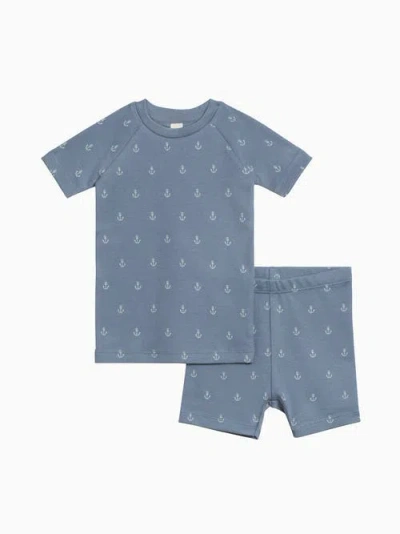 Colored Organics Organic Cotton 2-piece Short Sleeve Jammie Set In Blue