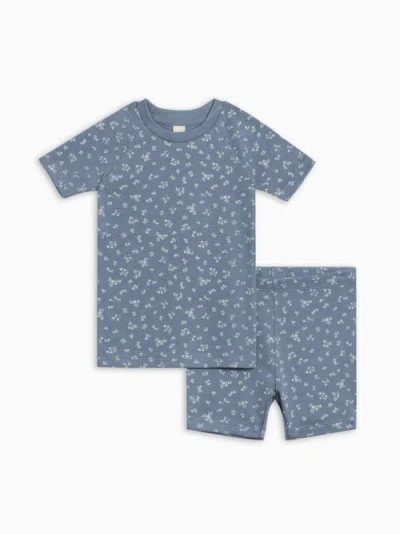 Colored Organics Kids'  Organic Cotton 2-piece Short Sleeve Jammie Set In Blue