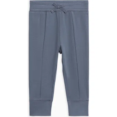 Colored Organics Babies'  Organic Cotton Ailsa Seamed Joggers In Blue