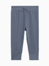 Colored Organics Organic Cotton Ailsa Seamed Joggers In Blue