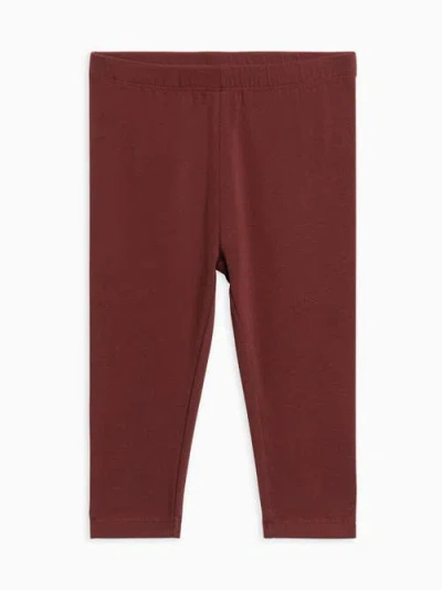 Colored Organics Kids'  Organic Cotton Jay Leggings In Red