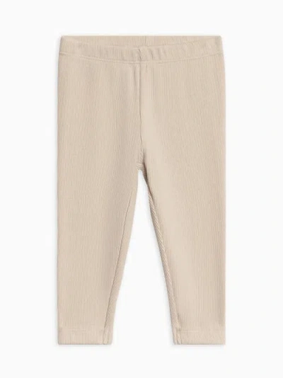 Colored Organics Babies'  Organic Lennon Ribbed Leggings In Brown