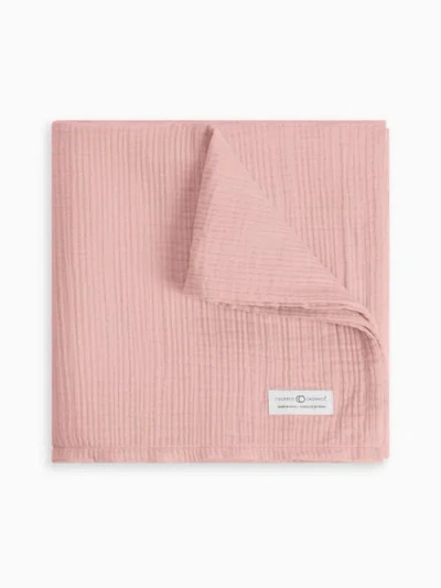 Colored Organics Organic Muslin Swaddle Blanket