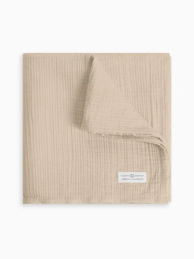 Colored Organics Organic Muslin Swaddle Blanket