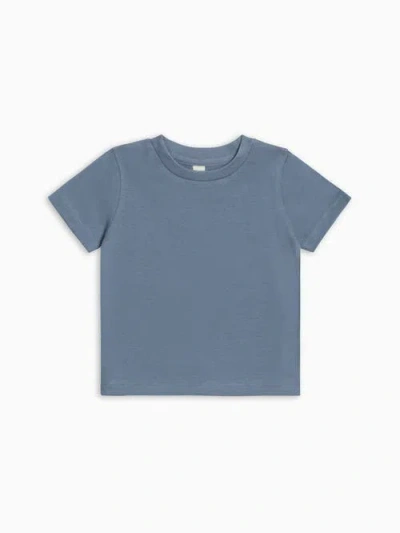 Colored Organics Kids'  Organic Short Sleeve Tee In Blue
