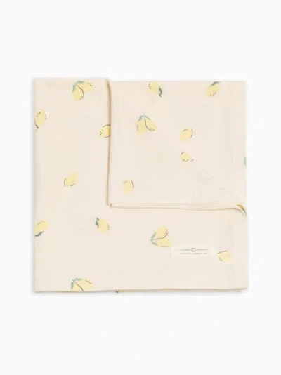 Colored Organics Organic Swaddle Blanket