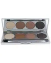 Colorescience 0.33oz Brow Kit In Multi