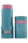 Colorescience ® Sunforgettable® Total Protection Color Balm Spf 50 Sunscreen
