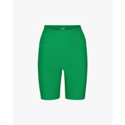 Colorful Standard Active Bike Shorts Kelly Green