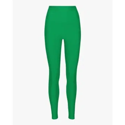 Colorful Standard Active High-rise Leggings Kelly Green