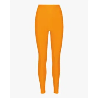 Colorful Standard Active High-rise Leggings Sunny Orange