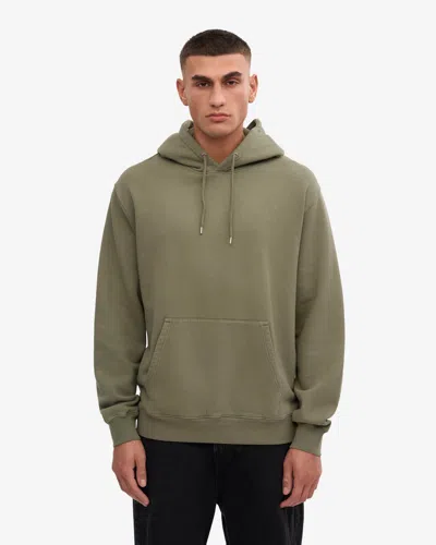 Colorful Standard Classic Organic Hoodie In Green