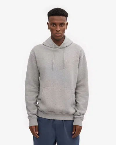 Colorful Standard Classic Organic Hoodie In Gray