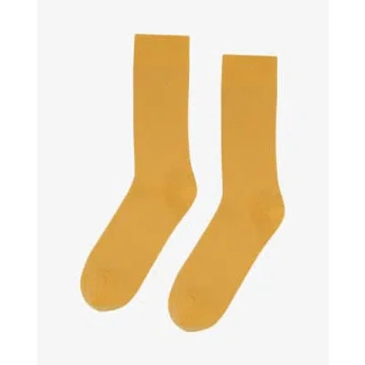 Colorful Standard Classic Organic Socks Burned Yellow In Brown