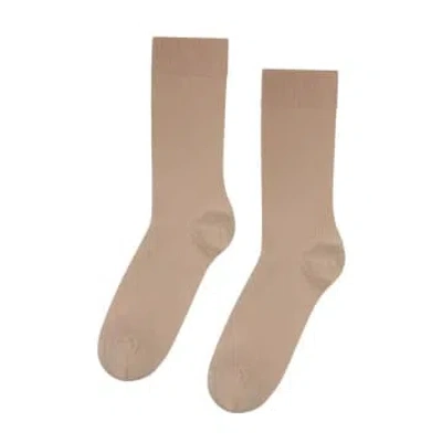 Colorful Standard Classic Organic Socks Desert Khaki In Brown