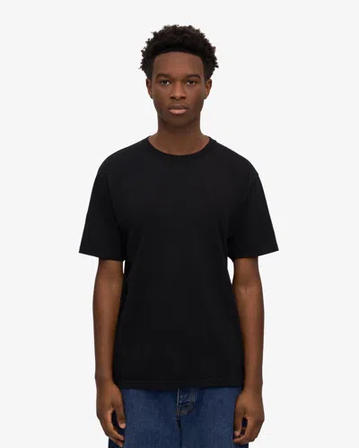 Colorful Standard Classic Organic T-shirt In Multi