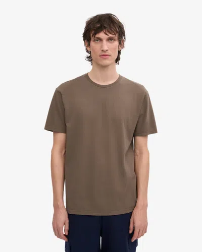 Colorful Standard Classic Organic T-shirt In Brown
