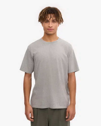 Colorful Standard Classic Organic T-shirt In Gray