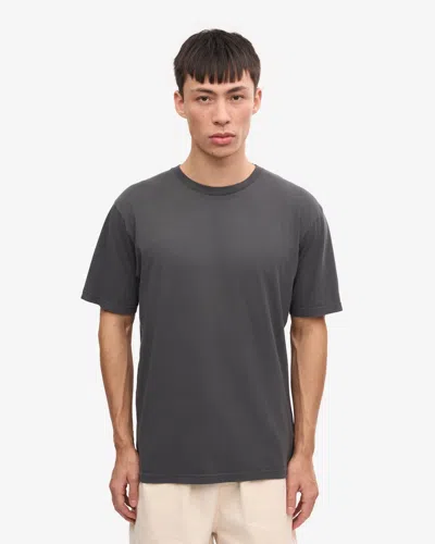 Colorful Standard Classic Organic T-shirt In Gray