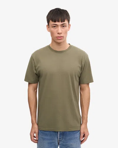 Colorful Standard Classic Organic T-shirt In Green